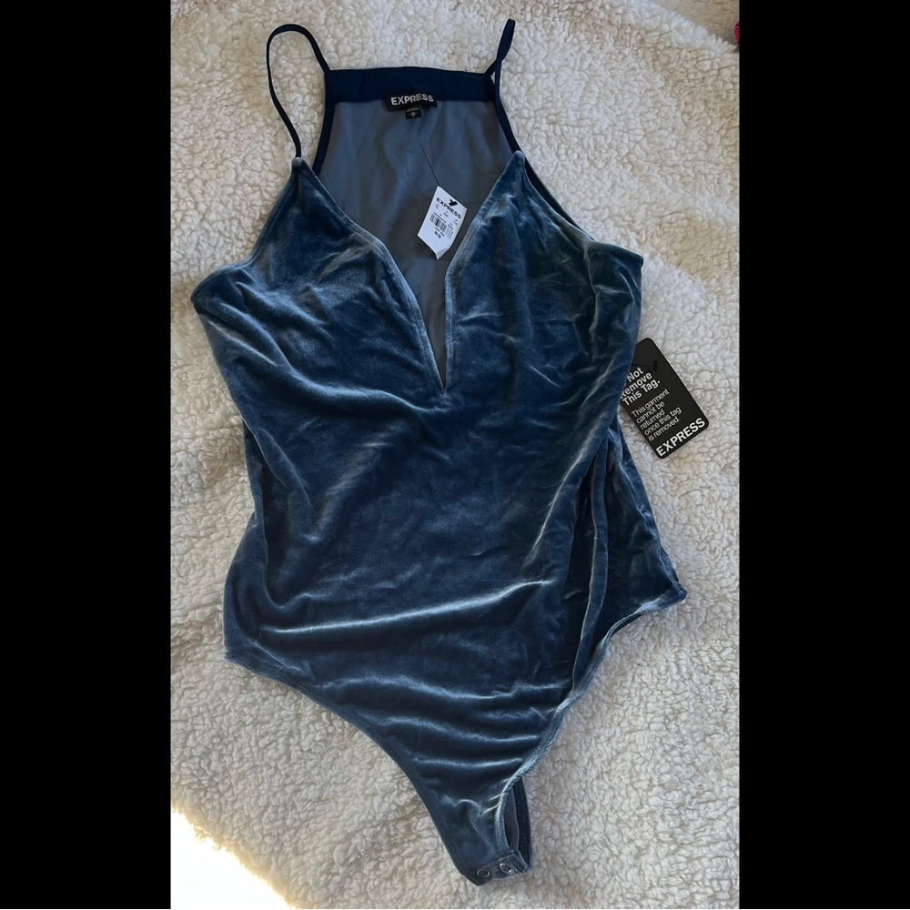 ✨ HP ✨ Velvet ✨ Plunge Bodysuit ✨ - Picture 1 of 8